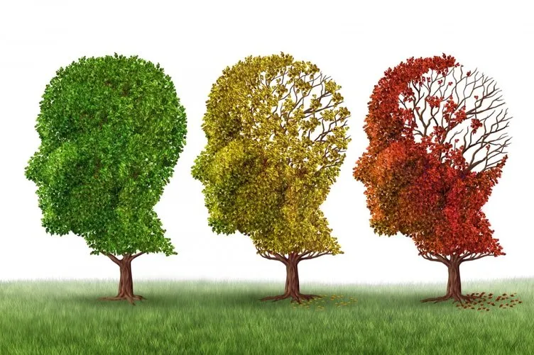 Bu araştırma Alzheimer hastalarına umut oldu