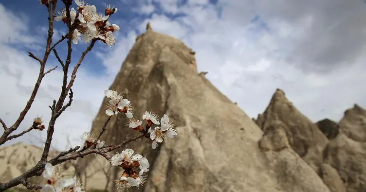 Çiçek açan kayısı ve badem ağaçları Kapadokya’ya renk kattı