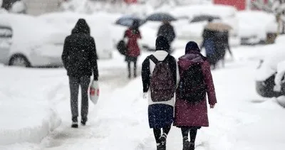 Van ve 3 ilçesinde okullar tatil #van