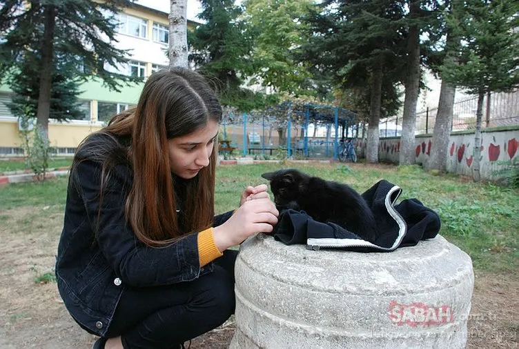 Lise öğrencisi üşüyen kediye hırkasını sardı