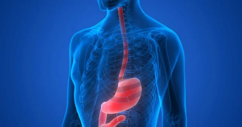 yemek borusundaki gizli hastalik akalazya saglik haberleri