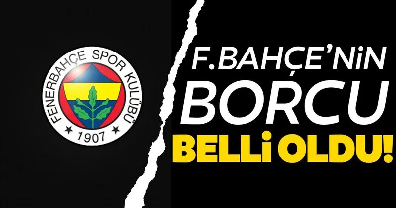 Fenerbahce Nin Borcu Ne Kadar Aciklandi Spor Haberleri