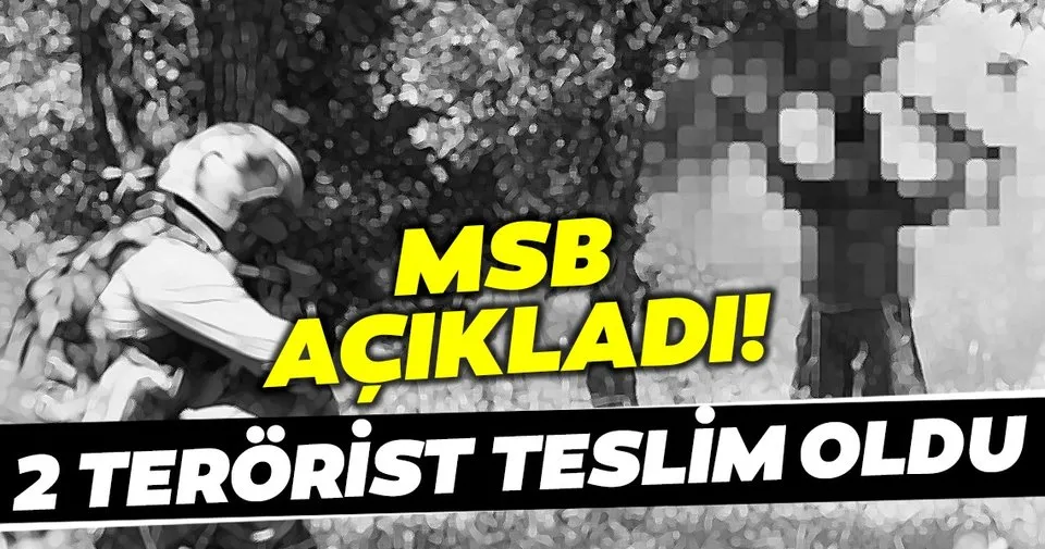 SON DAKİKA: Suruç'ta 2 terörist teslim oldu!