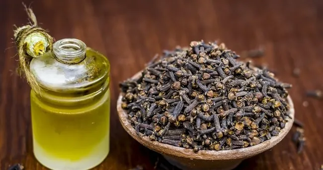 Karanfil yağının faydaları nelerdir, nelere iyi gelir? Karanfil yağı ne işe yarar,Faydaları Neler?