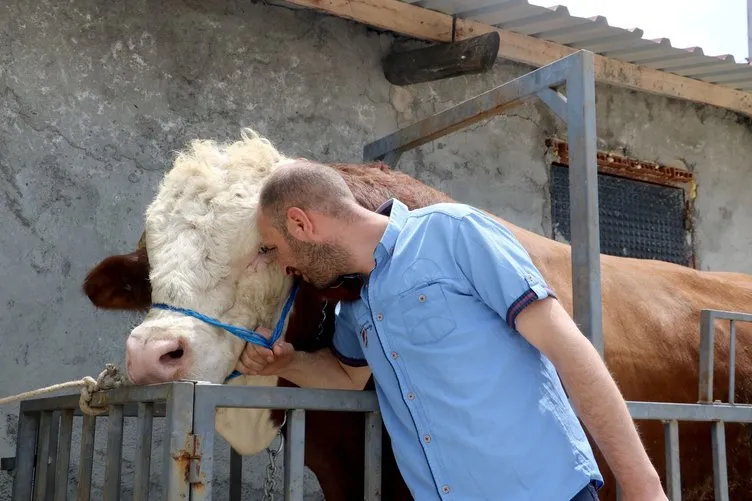 Değer biçilemiyor: Tam 1 ton 42 kilogram!