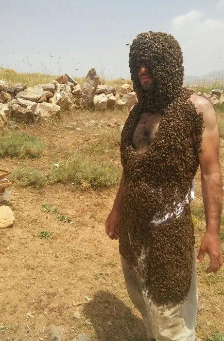 Arılarla Guinness’e girmek istiyor