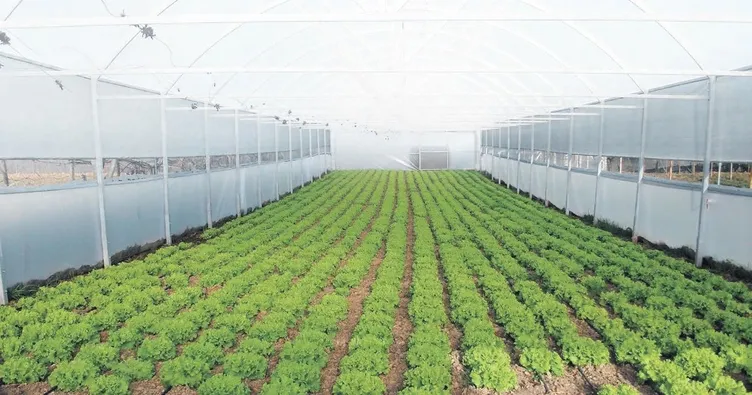 Seraya 7 yıl vadeli indirimli kredi