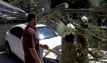İnşaat alanındaki çürük ağaç park halindeki otomobilin üzerine devrildi #istanbul