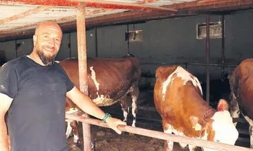 Kurbanlık alırken dikkat #erzincan