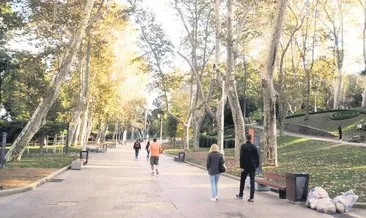 Asırlık ağaçları yok ediyorlar #istanbul