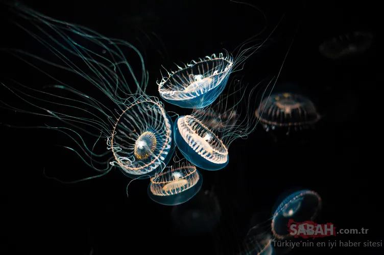 Çanakkale'de denize giren 12 yaşındaki kız hayatını şokunu yaşadı