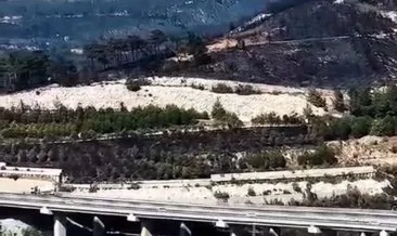 Çanakkale’de meydana gelen orman yangınında bin hektar alan küle döndü #canakkale