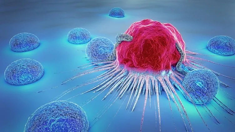 Kanser hücrelerinin yayılmasını anında durduruyor! Hasarlı hücrelerin tamamını iyileştiriyor