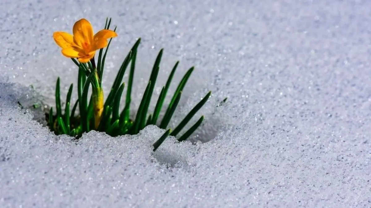 CEMRE DÜŞME TAKVİMİNDE GERİ SAYIM BAŞLADI! 2026’da ilk cemre ne zaman ve nereye düşecek?