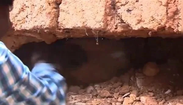 Duvarın içinden bakın ne çıktı!