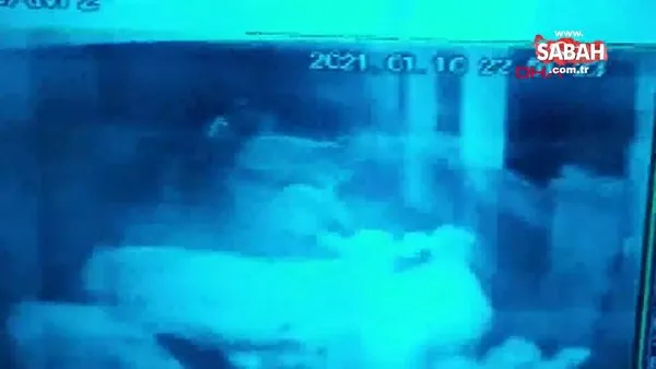 Son dakika! Ankara'daki 4.5'lik depremin anında ahırdaki hayvanların yaşadığı korku ve panik anları kamerada | Video
