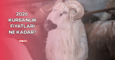 Kurbanlık fiyatları ne kadar, kaç TL? İşte, 2026 büyükbaş ve küçükbaş kurban fiyatları...