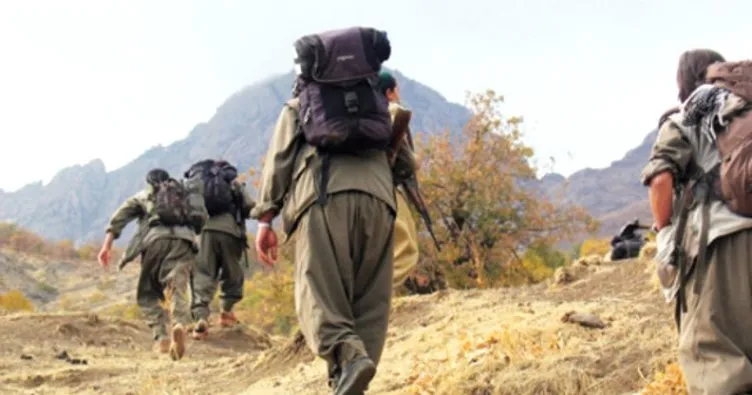 Şırnak’ta 4 PKK’lı terörist teslim oldu