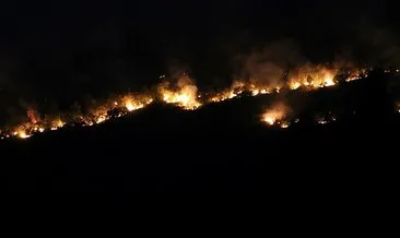 Bulgaristan’da yangın felaketi: Alevler Edirne sınırına dayandı