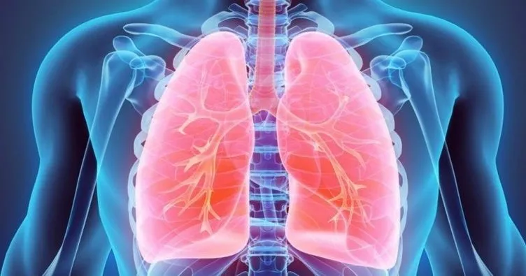 3 Günde akciğerler nasıl temizlenir? Akciğerleri temizleyen besinler nelerdir?
