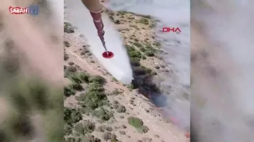 İzmir'de orman yangını! | Video