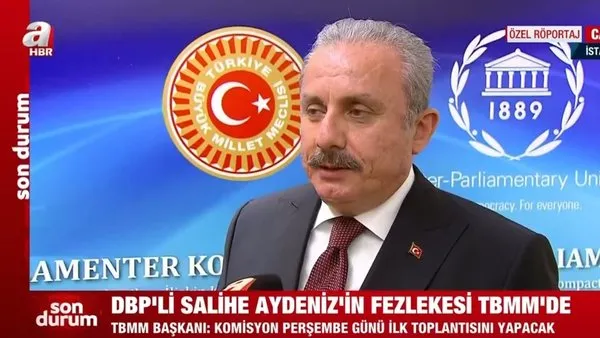 Son dakika! TBMM Başkanı Mustafa Şentop: Türkiye göç konusunda yalnız bırakıldı | Video