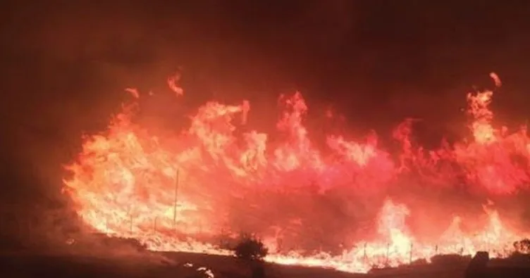 İzmir’de büyük orman yangını!