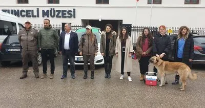 Tunceli’de 4 bin sokak hayvanı aşılanacak #tunceli