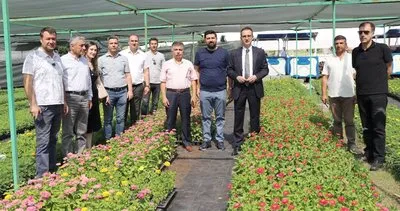 Kayapınar Belediyesi, 500 bin mevsimlik çiçeği vatandaşlarla buluşturdu #diyarbakir