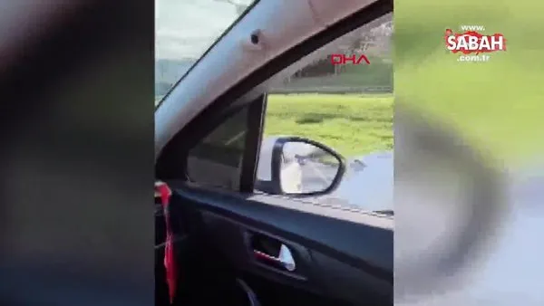 Öfkeli sürücü TEM'de yolunu kestiği otomobilin camını yumrukladı | Video