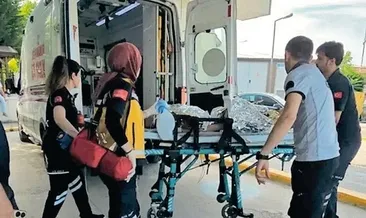 Bungalov havuzu bir can daha aldı