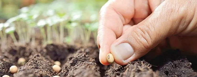 Türkiye’nin tarım gerçekleri: 5 yalan 5 gerçek!