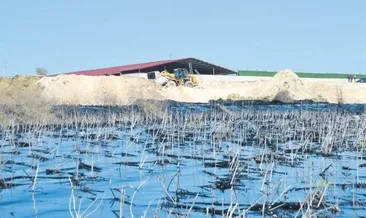 Asfalt fabrikasına ÇED kilidi vuruldu