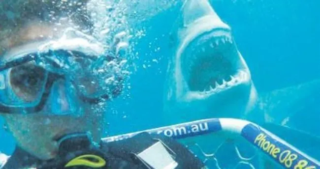 Köpekbalığıyla selfie modası