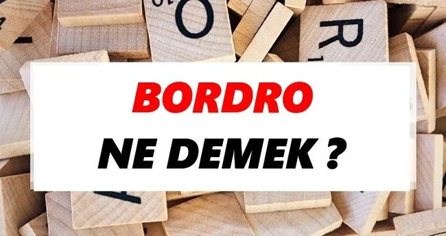 Bordro Ne Demek? TDK’ya Göre Bordro Sözlük Anlamı Nedir?