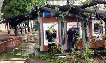 ATM’lerin üzerine ağaç devrildi: Para çekmeye devam ettiler