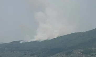 Kazdağları eteklerinde yangın: Ormana sıçramadan söndürüldü #balikesir