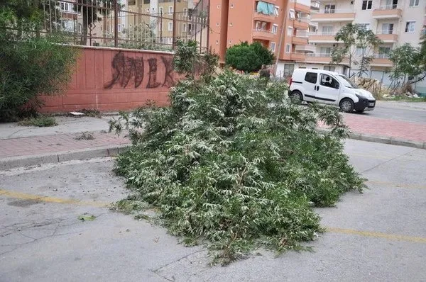Kasırga hayatı felç etti