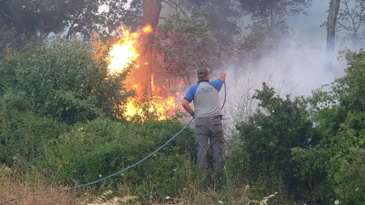 SON DAKİKA: Hatay, Mersin ve Çanakkale'de orman yangını! Alevlerle mücadele sürüyor: Bakanlar son bilançoyu açıkladı