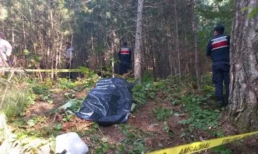 Zonguldak’ta ayı saldırısına uğrayan kişi öldü