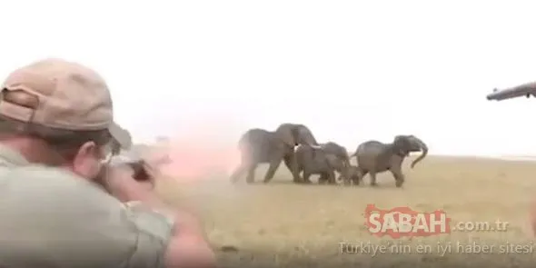 Fillerin intikamı kötü oldu!