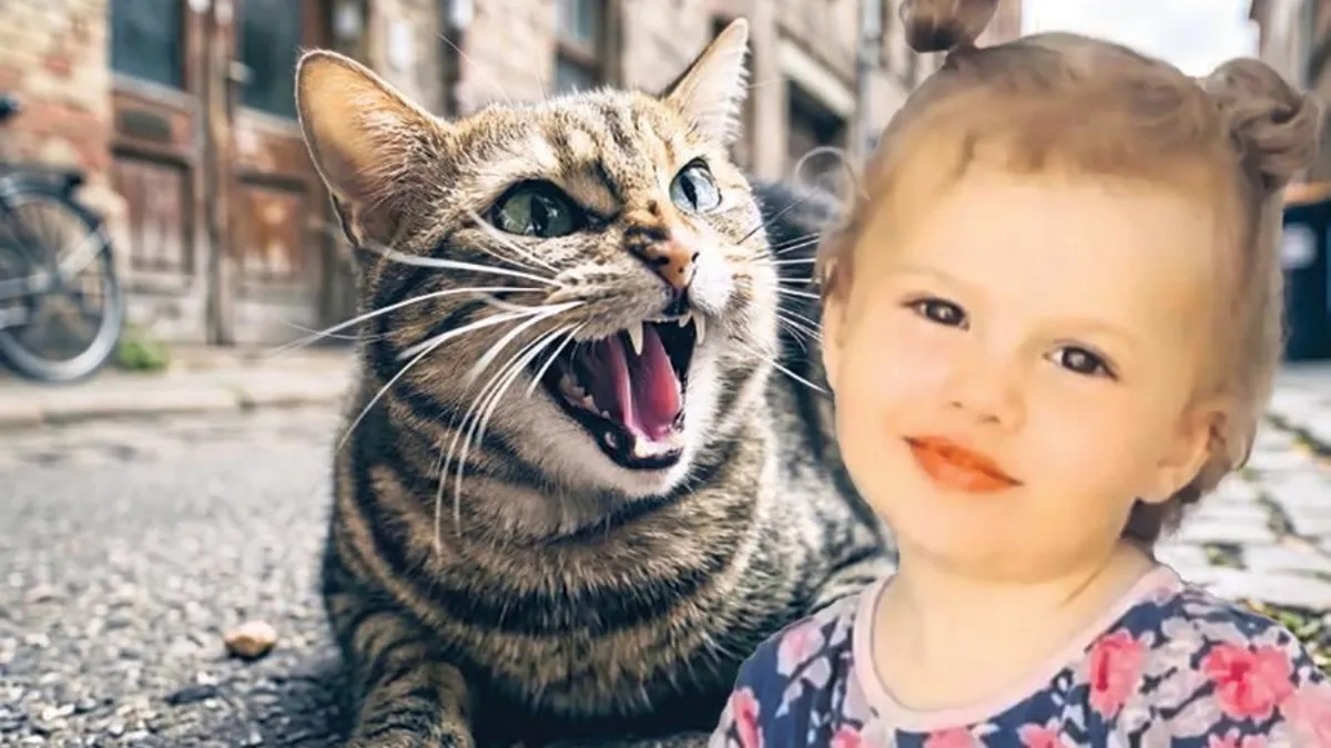 Kedinin ısırdığı Nehir yaşama tutunamadı haber görseli