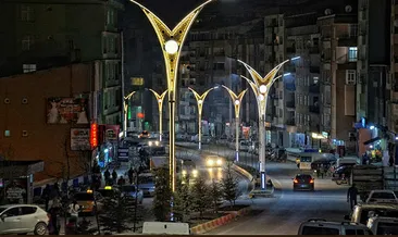 Hakkari’de iki cadde daha renklendirildi