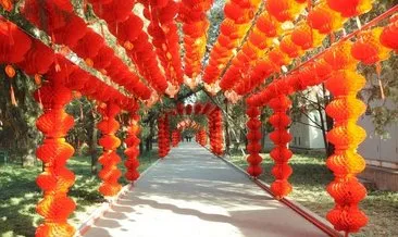 Çin’de ’Köpek Yılı’ coşkusu!