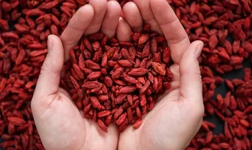 2000 yıldır şifa dağıtıyor!