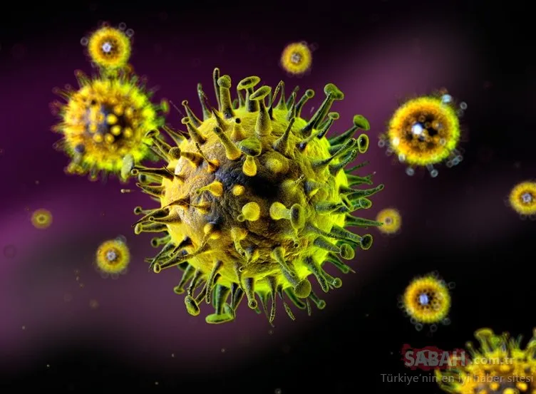 Japon bilim insanlarından corona virüs açıklaması! Corona virüsün yeni bir bulaşma yolu ortaya çıktı...