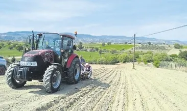 Selendi’de tütün dikimine devam