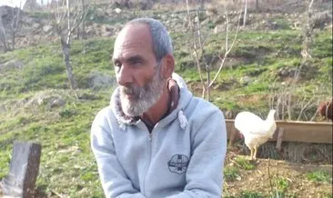 Tunceli’de ceviz ağacından düşen bir kişi hayatını kaybetti