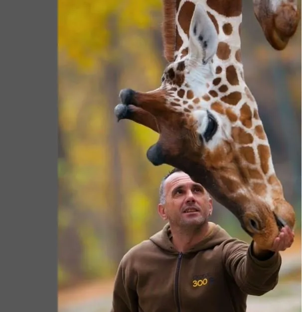 Sevgiden öte hayat bağı: