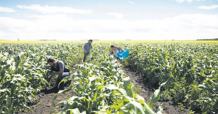 Çiftlikten sofranıza